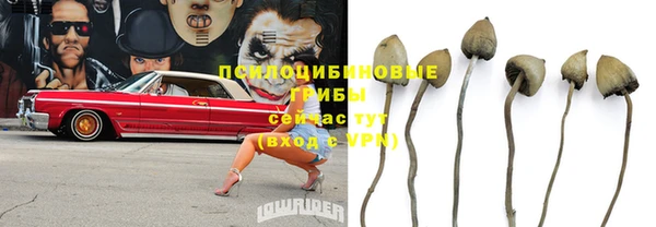 кокс Карталы