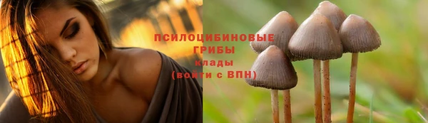 кокс Карталы