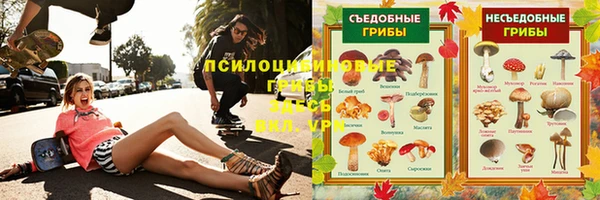 СК Карпинск