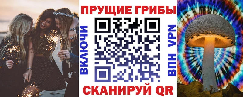 Купить где  Курчатов  Галлюциногенные грибы прущие грибы 